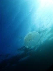 浮遊感