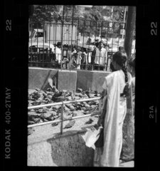 img089a