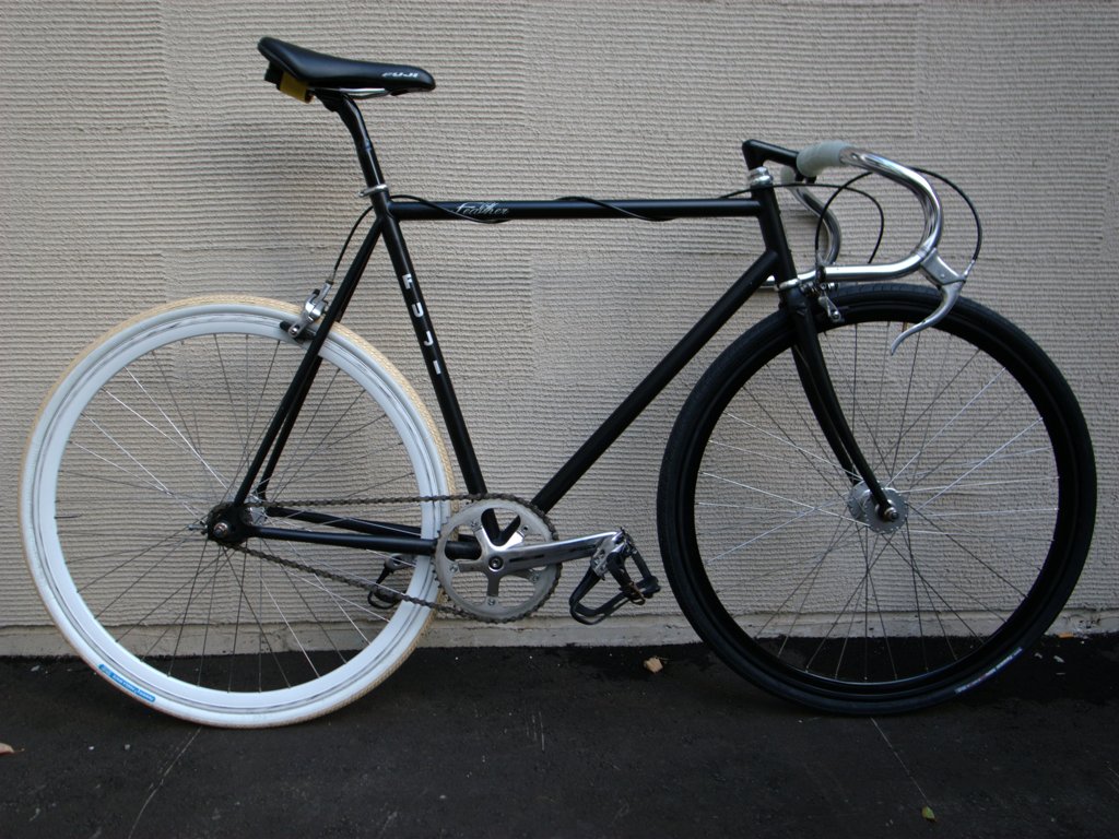 Fuji feather 2009