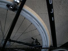 RIMG5437