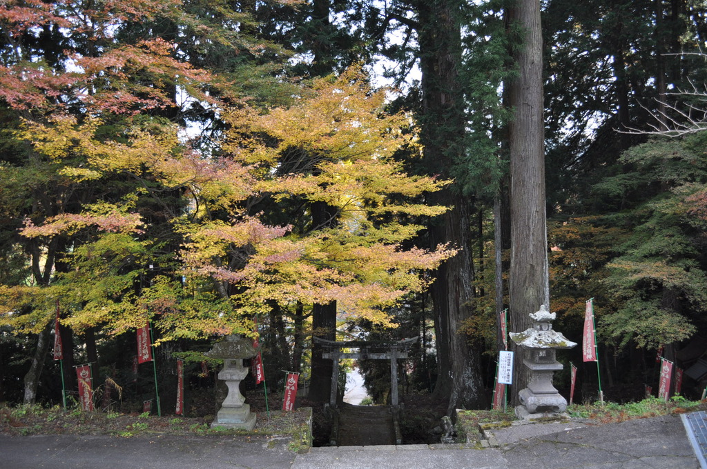 金桜神社の石段_その１