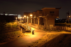 秋の夜釣り