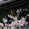 知恩院