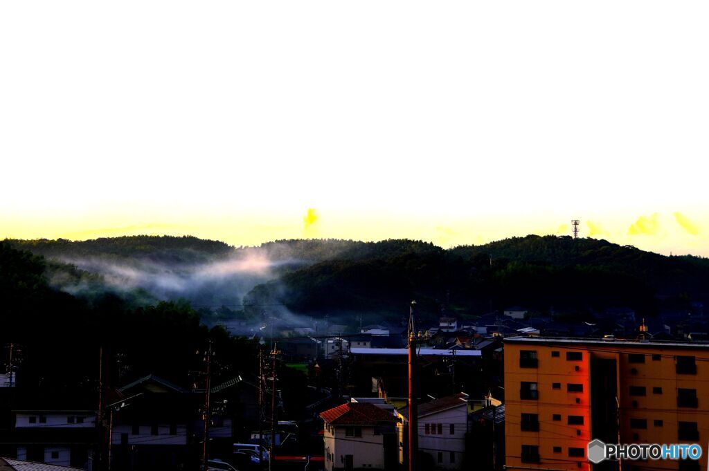 朝霧沸く丘