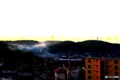 朝霧沸く丘