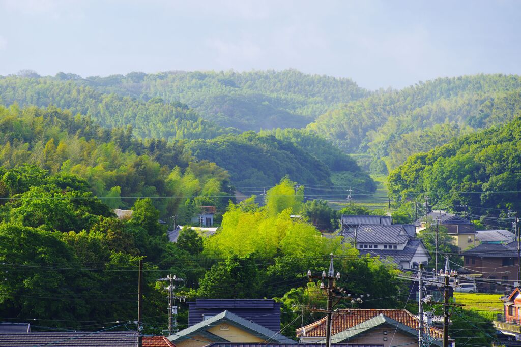 梅雨の晴れ間１