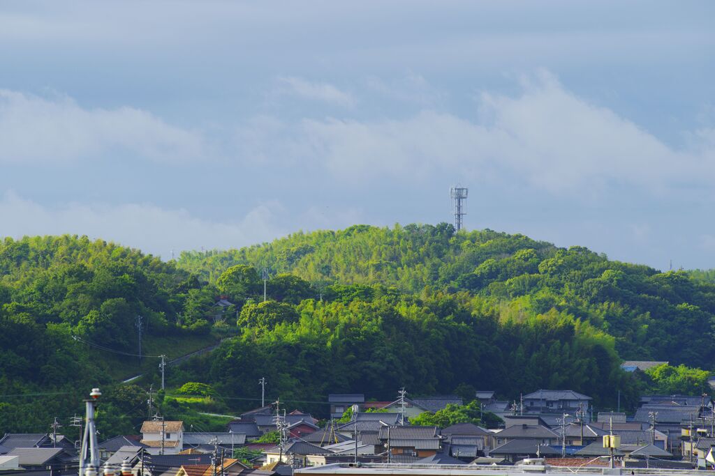 梅雨の晴れ間２