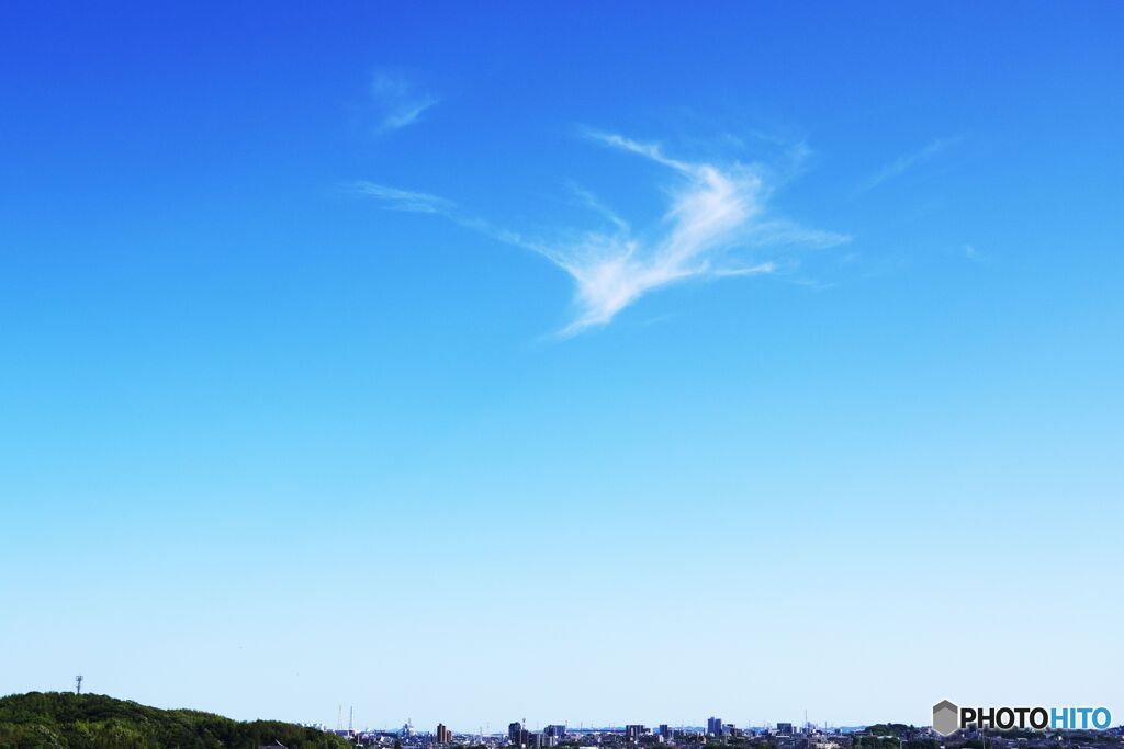 2023雲模様16