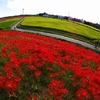 田園