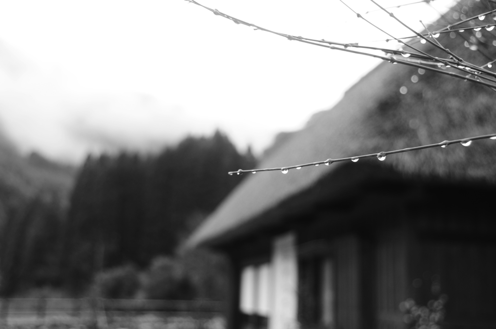雨上がる。