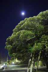 「　月明　」
