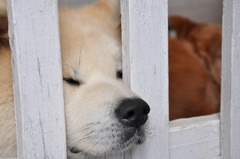 ここが落ち着くんです