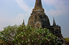 花と仏塔