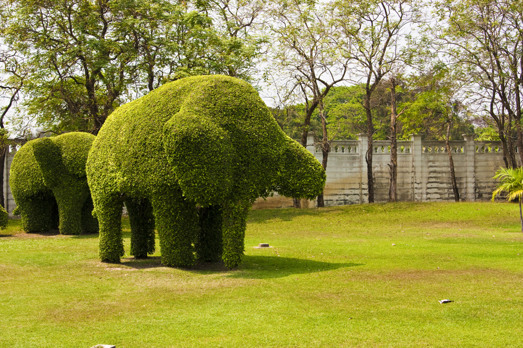 GREEN ELEPHANT