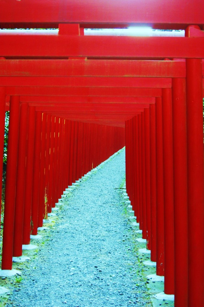 鳥居の中