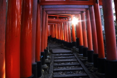 朝 陽 が 届 く