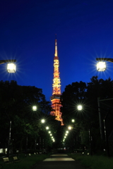 Torch of Hope (from SHIBA Park)