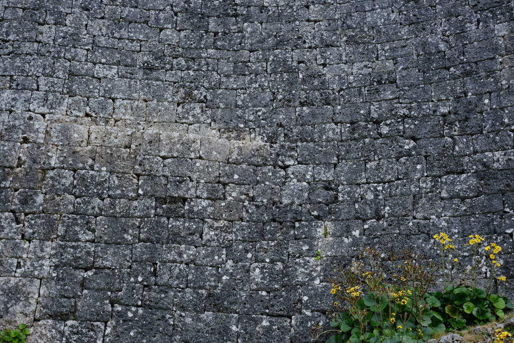 stone wall