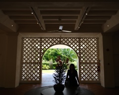 Inside the botanical garden