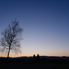 One tree, two people, and the sunset