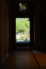 『Living Hanging Scroll』