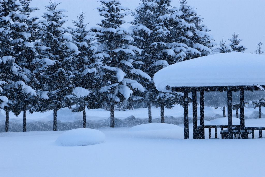 Buried in snow