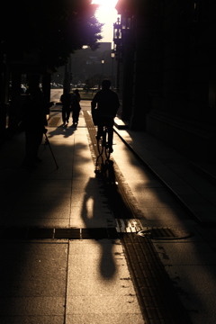 silhouette of people and bicycles