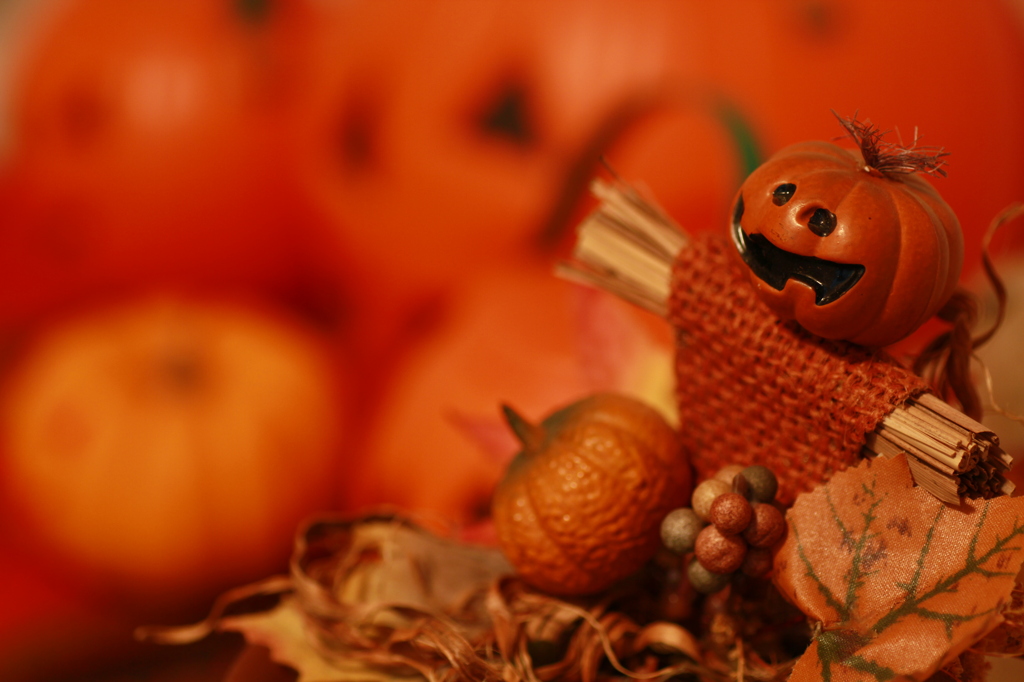 Hallowe'en  Orange