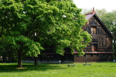 trees and historic cabins