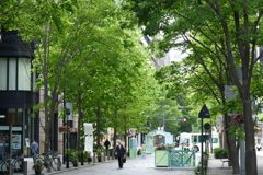 新緑・仲通り