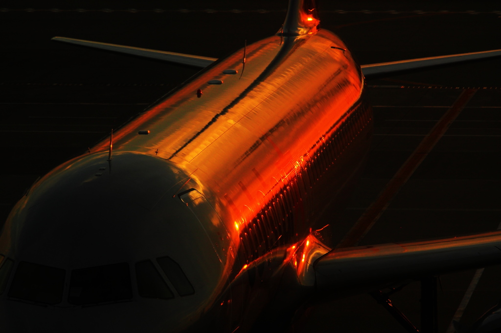 reflection