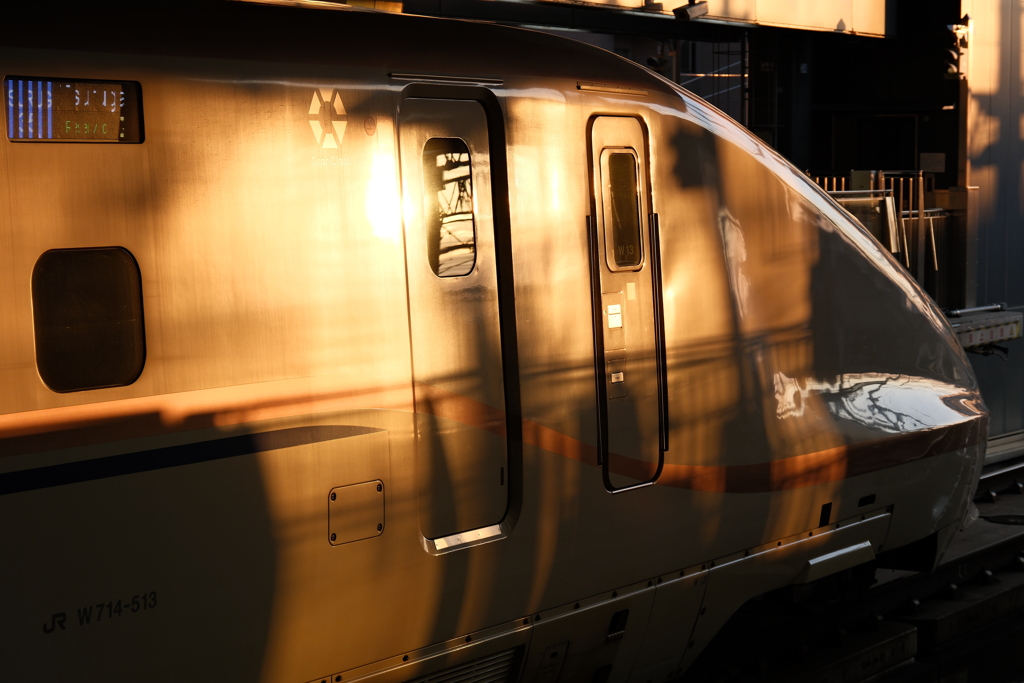 dyed in gold