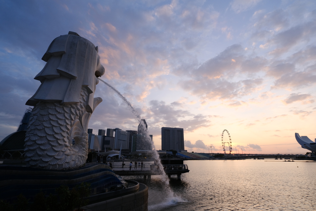 MERLION at dawn