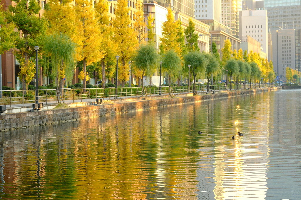 晩照　（ばんしょう）