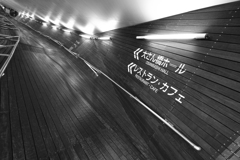 ＜＜大さん橋ホール / ＜＜レストラン・カフェ