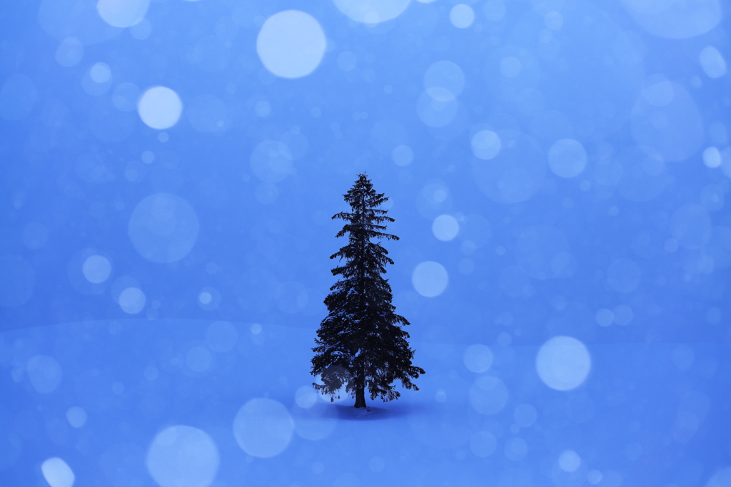 Dreaming Tree