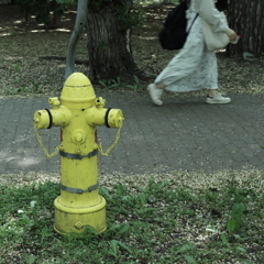 woman and old yellow fire hydrant