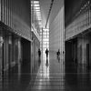 Monotone Corridor