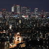 After dark from HIGASHIYAMA-sky tower
