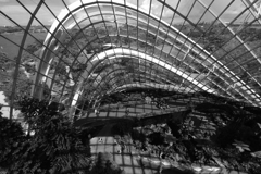 huge greenhouse