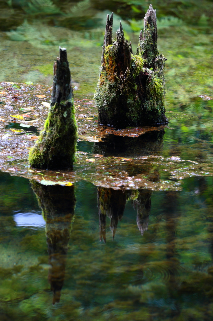 The hat pointy on the water surface