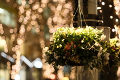 shower of light and flower basket