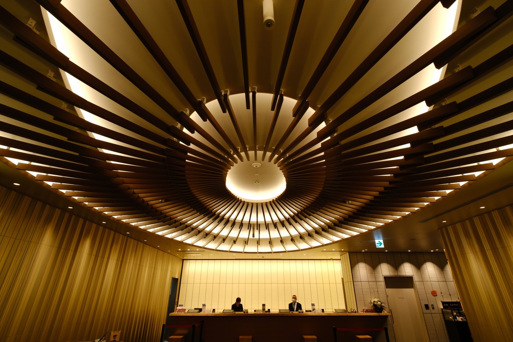 A distinctive ceiling