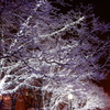White Illumination