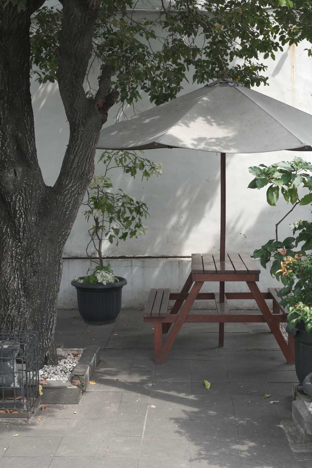 一息つきましょうか