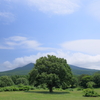 At the plateau in early summer
