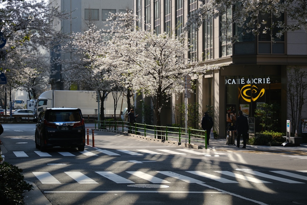 Signs of spring are appearing