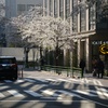 Signs of spring are appearing
