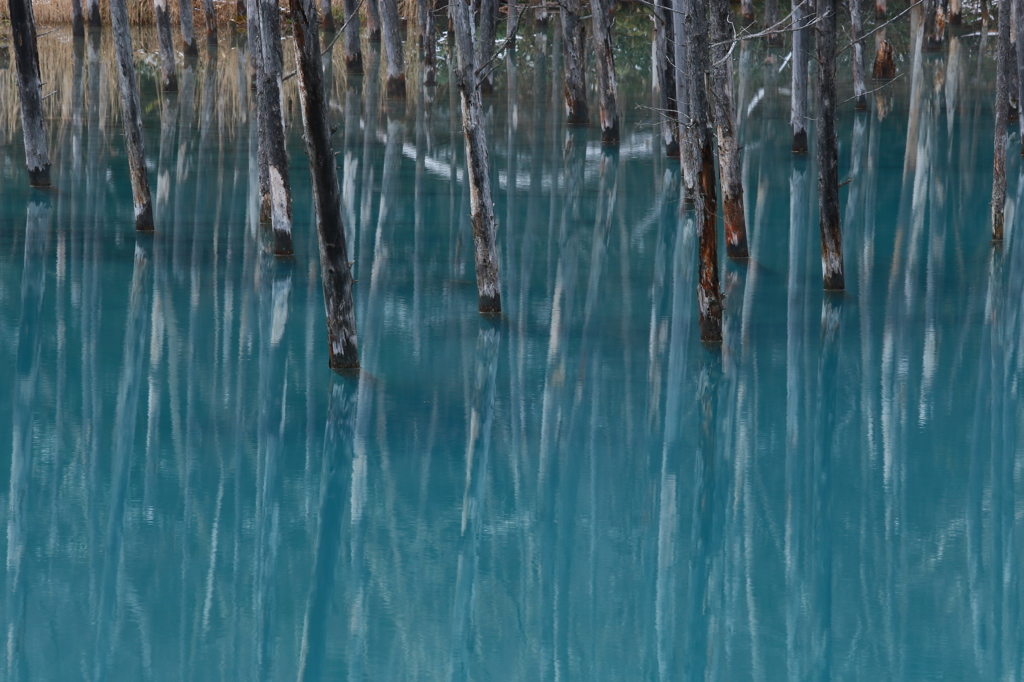 Deep and Silent Blue