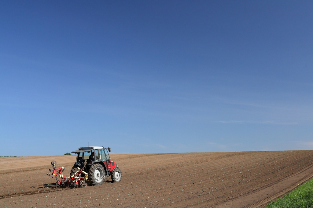 Farm under the blue sky